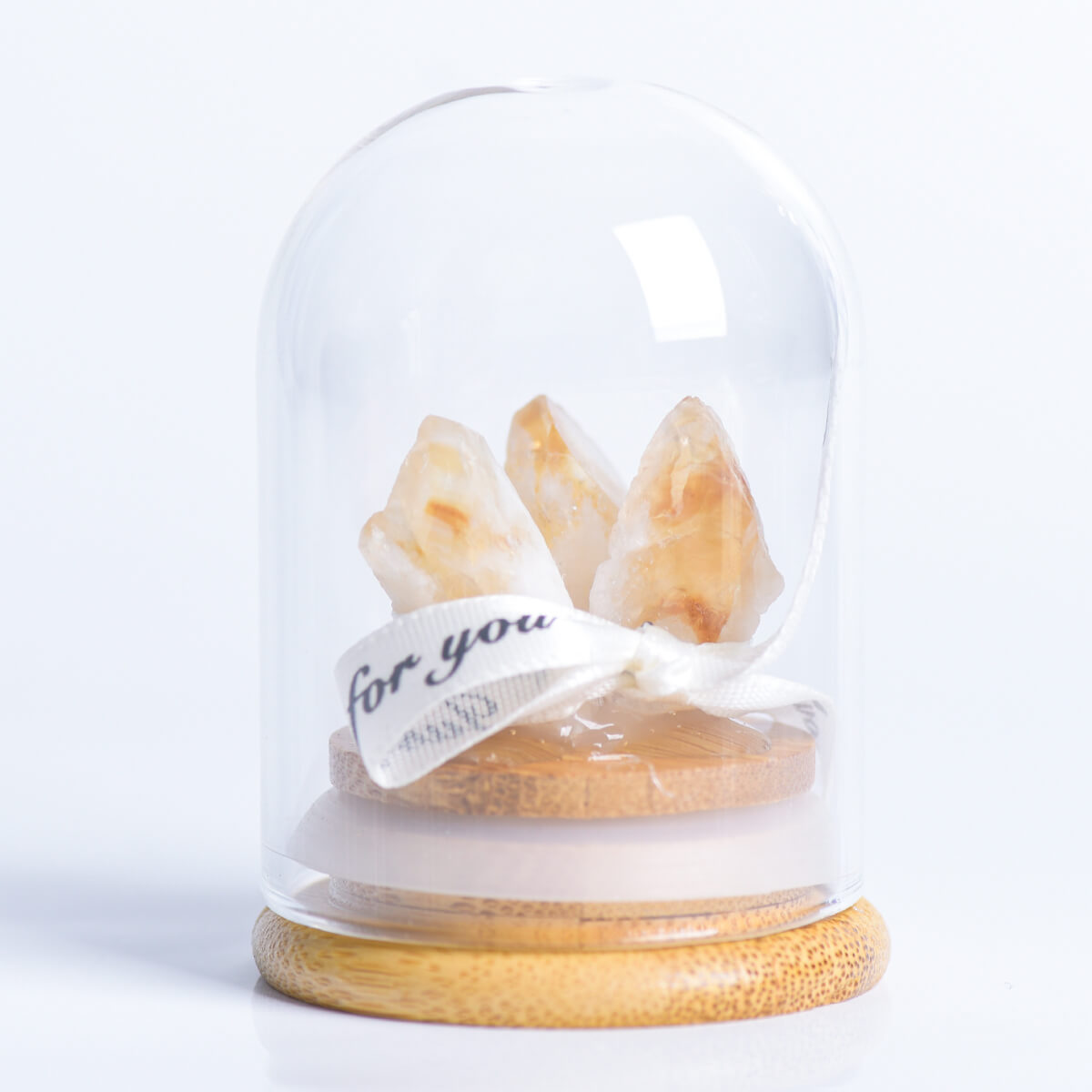 Crystal Tooth in Glass Dome Display