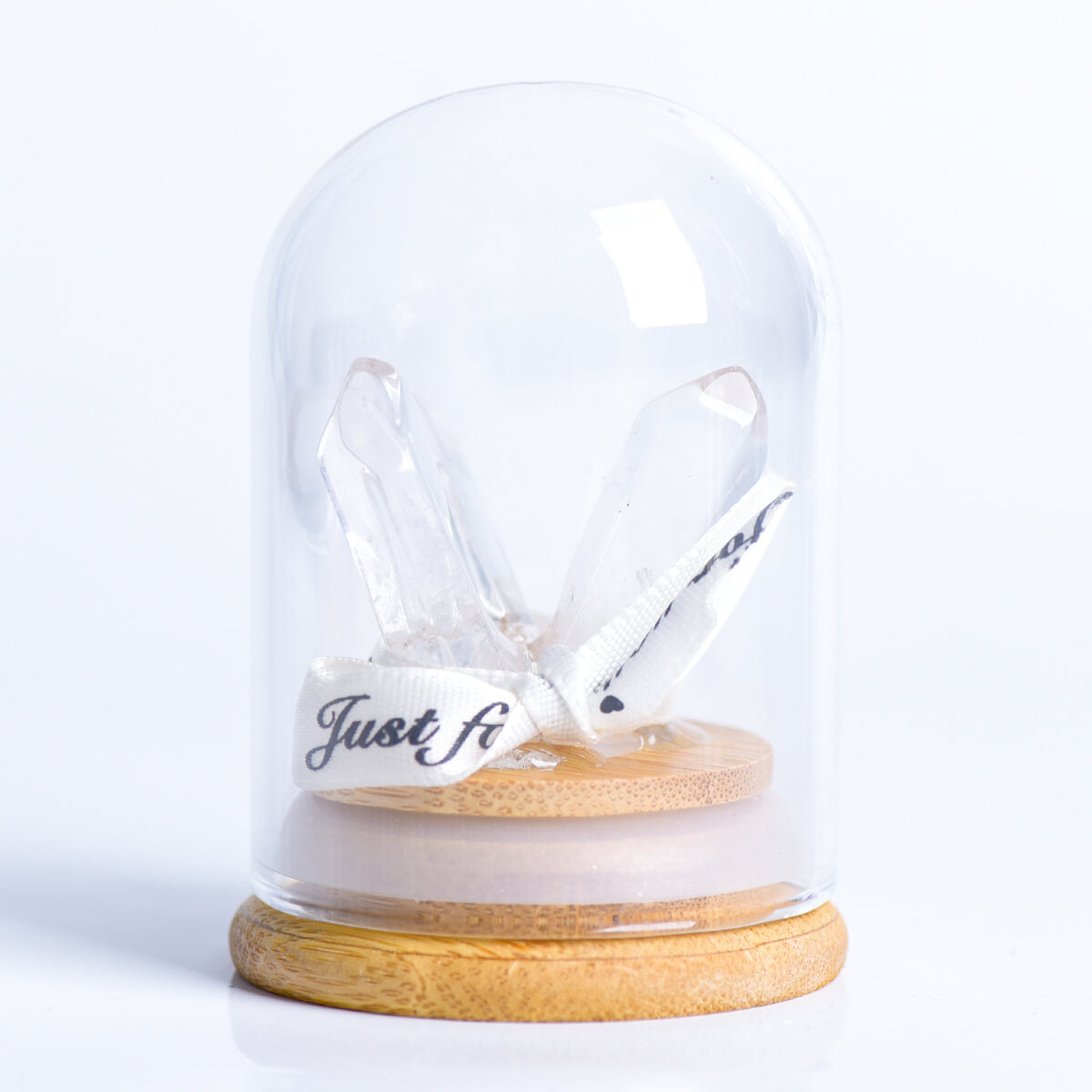 Crystal Tooth in Glass Dome Display