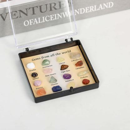 Mixed Gemstone Crystal Mineral Specimen Collection Kit